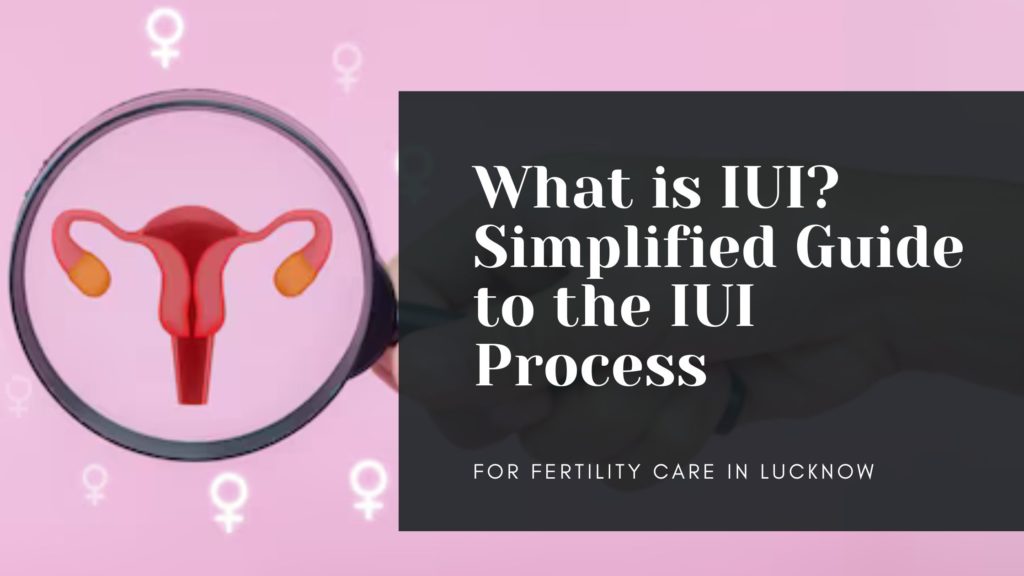 What is IUI? Simplified Guide to the Intrauterine Process
