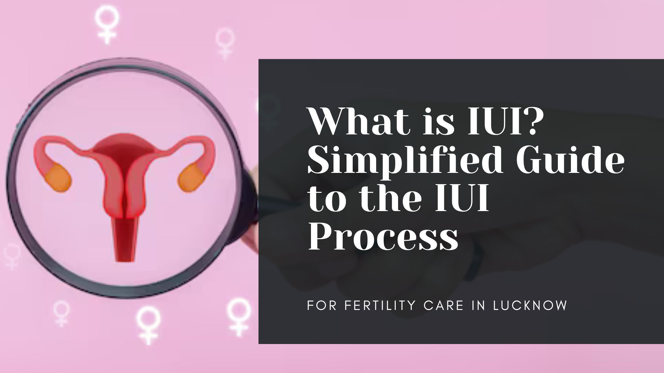 What is IUI? Simplified Guide to the Intrauterine Process